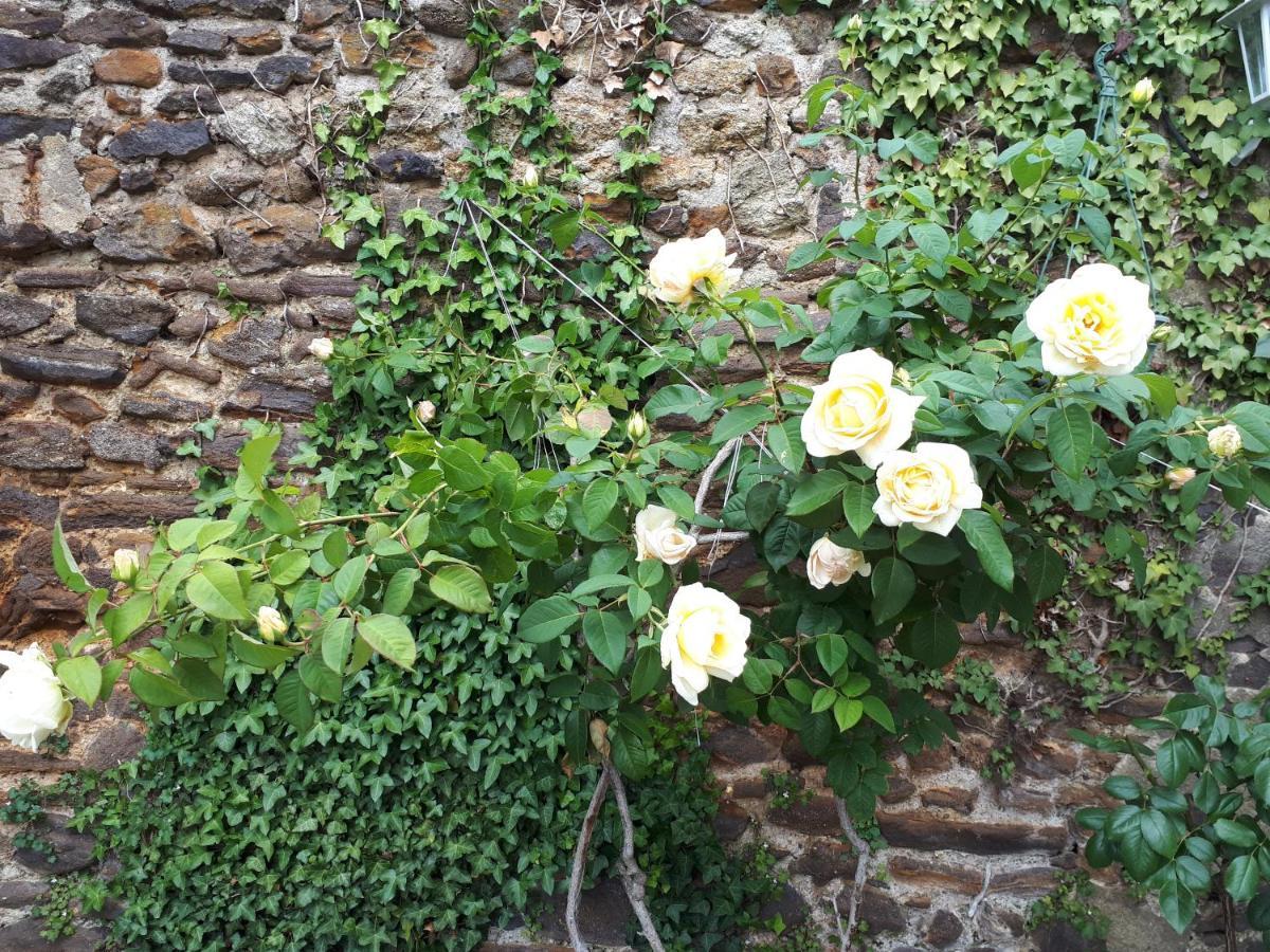 La Maison D'Hotes De Constance เลอม็องส์ ภายนอก รูปภาพ